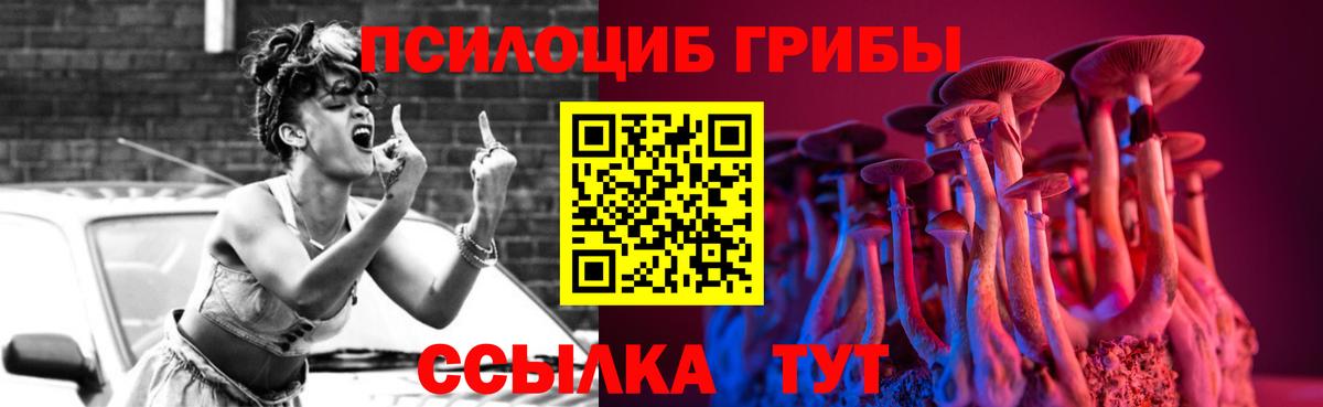 Шебекино  Псилоцибиновые грибы Magic Shrooms  Вход с VPN 